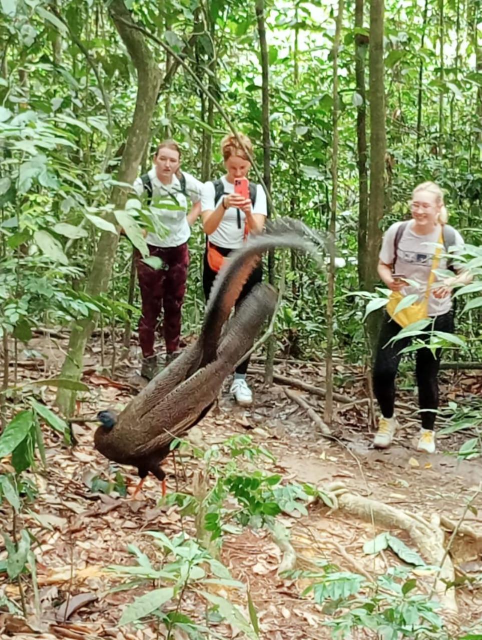 Landak River Guest House Only Trekking With Us Bukit Lawang Zewnętrze zdjęcie