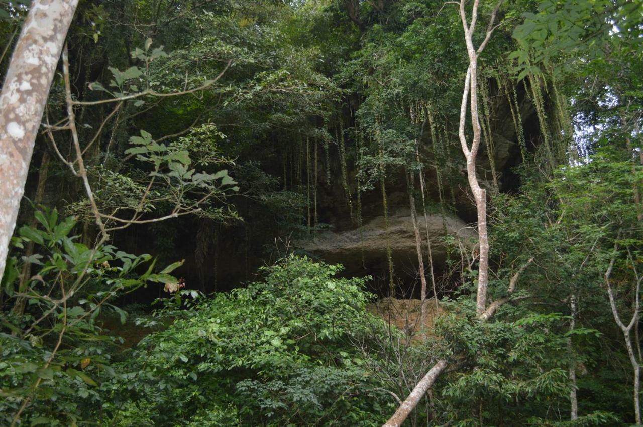 Landak River Guest House Only Trekking With Us Bukit Lawang Zewnętrze zdjęcie