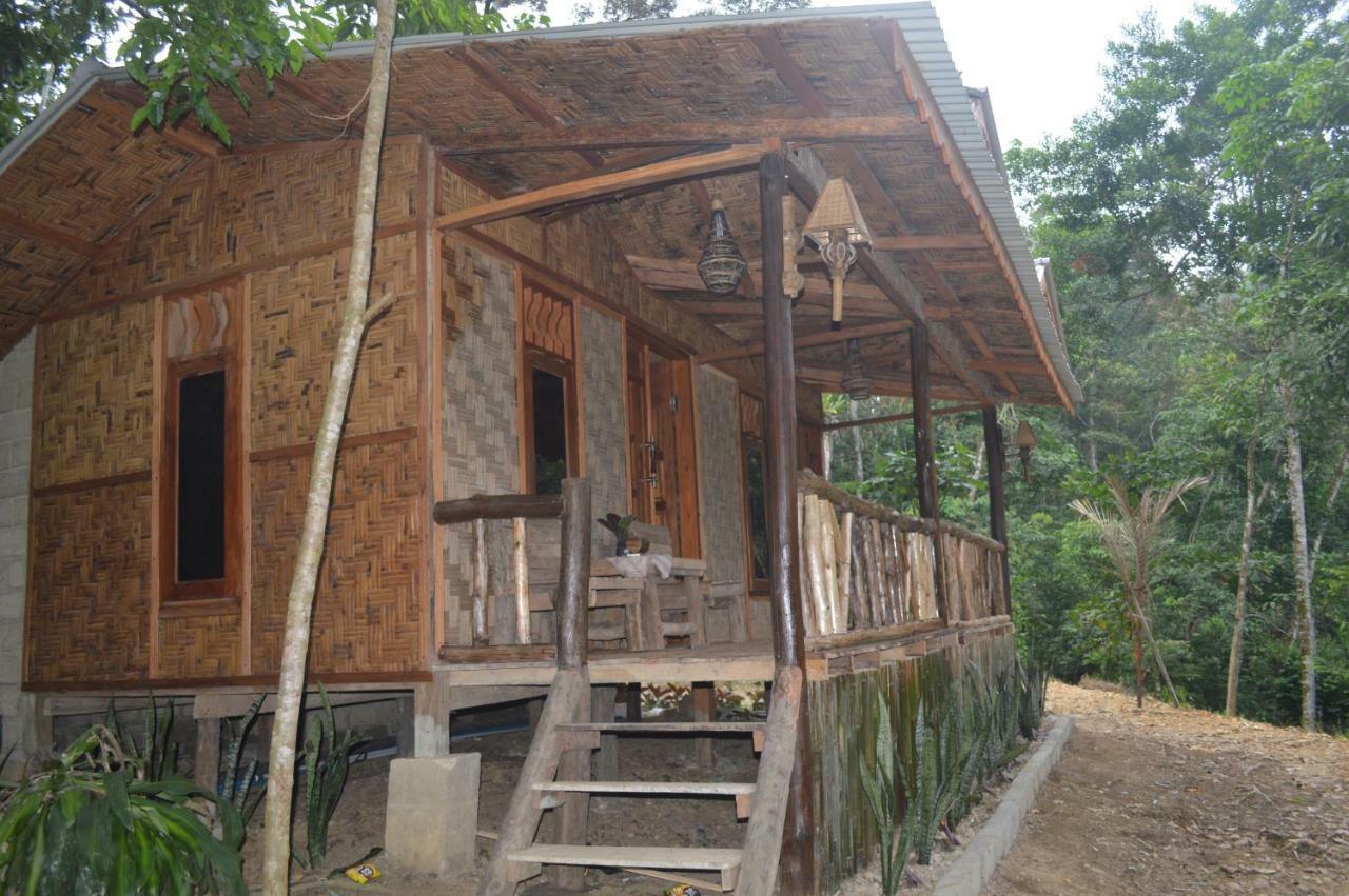 Landak River Guest House Only Trekking With Us Bukit Lawang Zewnętrze zdjęcie