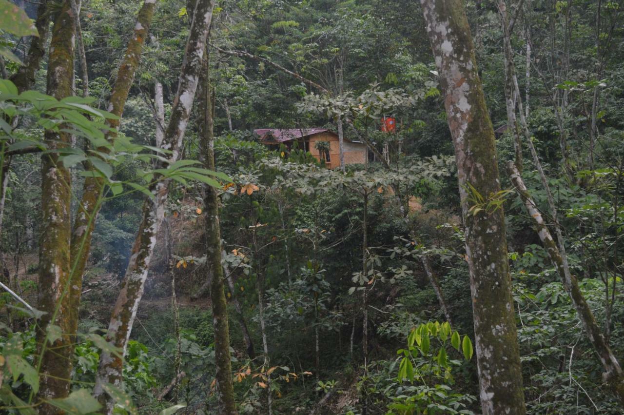 Landak River Guest House Only Trekking With Us Bukit Lawang Zewnętrze zdjęcie