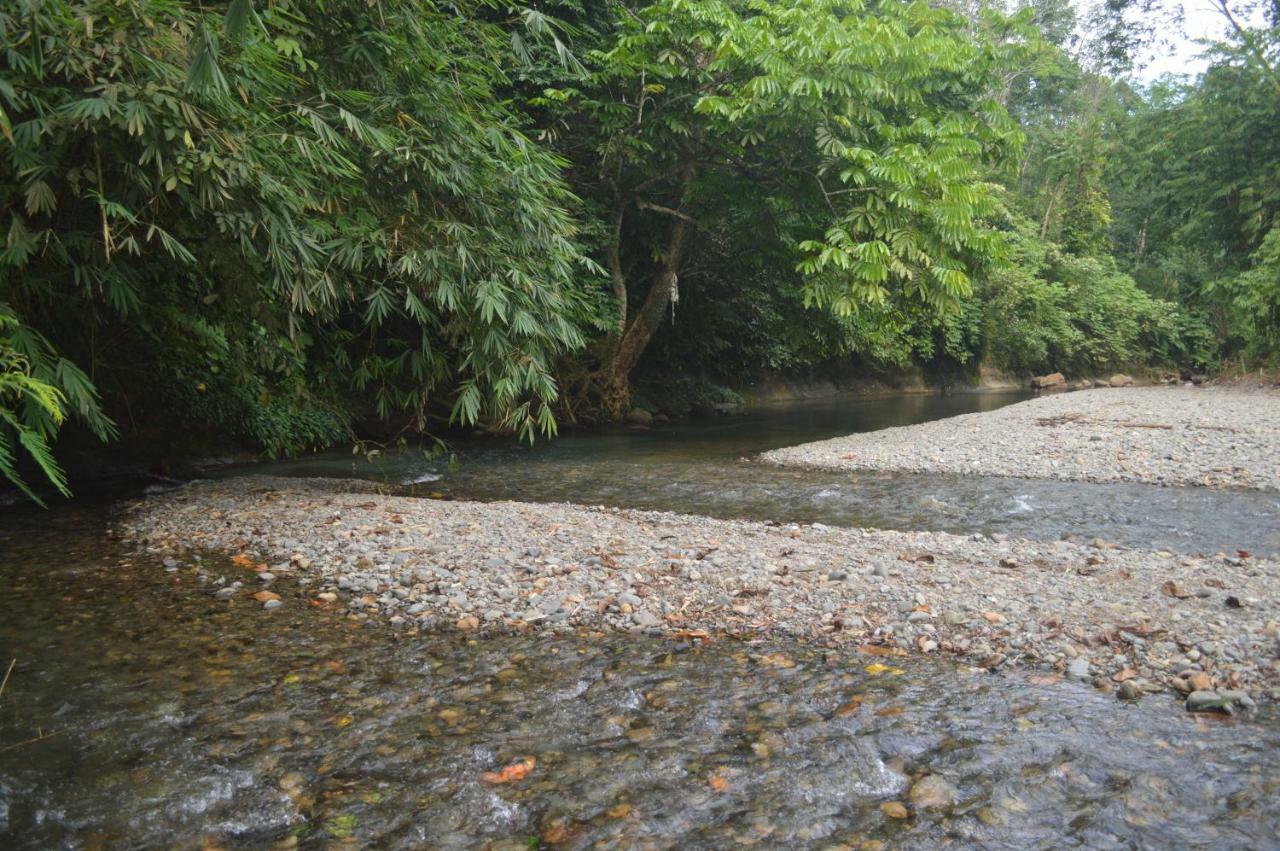 Landak River Guest House Only Trekking With Us Bukit Lawang Zewnętrze zdjęcie