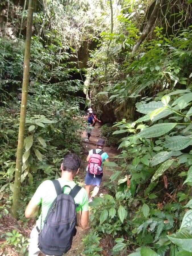 Landak River Guest House Only Trekking With Us Bukit Lawang Zewnętrze zdjęcie