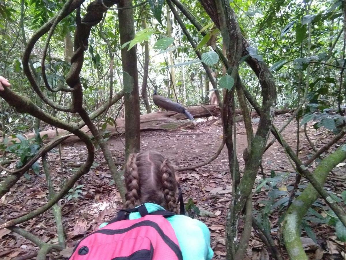 Landak River Guest House Only Trekking With Us Bukit Lawang Zewnętrze zdjęcie
