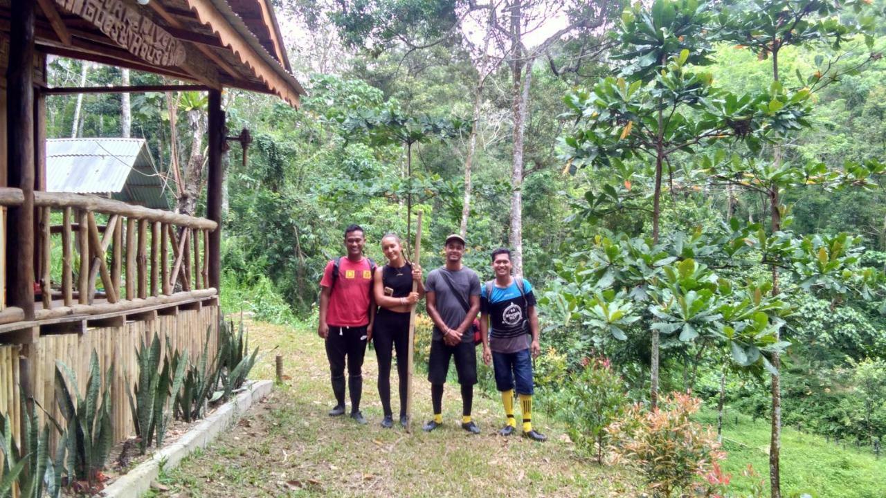 Landak River Guest House Only Trekking With Us Bukit Lawang Zewnętrze zdjęcie