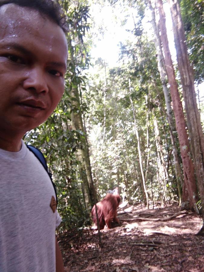 Landak River Guest House Only Trekking With Us Bukit Lawang Zewnętrze zdjęcie